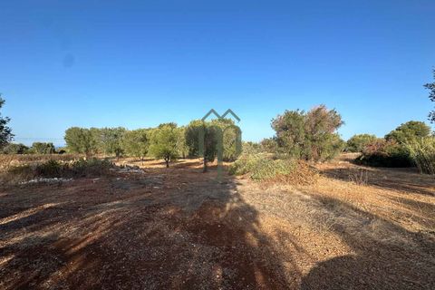 Helårsgrund i Carovigno, Brindisi, Carovigno - € 50.000 | Ref: Sierri VistaMar - foto 3